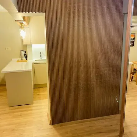 Spacious,central, Special Design Flat In Besiktas Apartment *